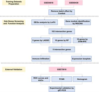 Development and validation of preeclampsia predictive models using key genes from bioinformatics and machine learning approaches